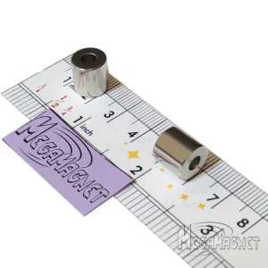 آهن ربا مگامگنت کد Mega.R10in4h10 بسته 10 عددی