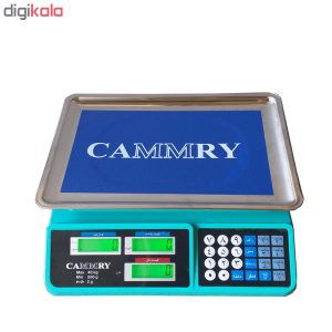 ترازو فروشگاهی کمری مدل 402
