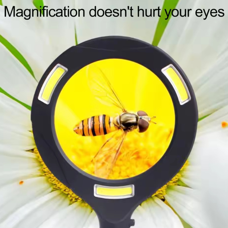 65ce7d8cc89f996e4f68fa79716312781ec9cd18_1746435945.jpg